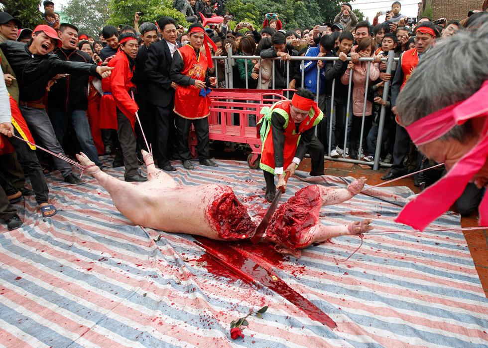Убийство свиньи